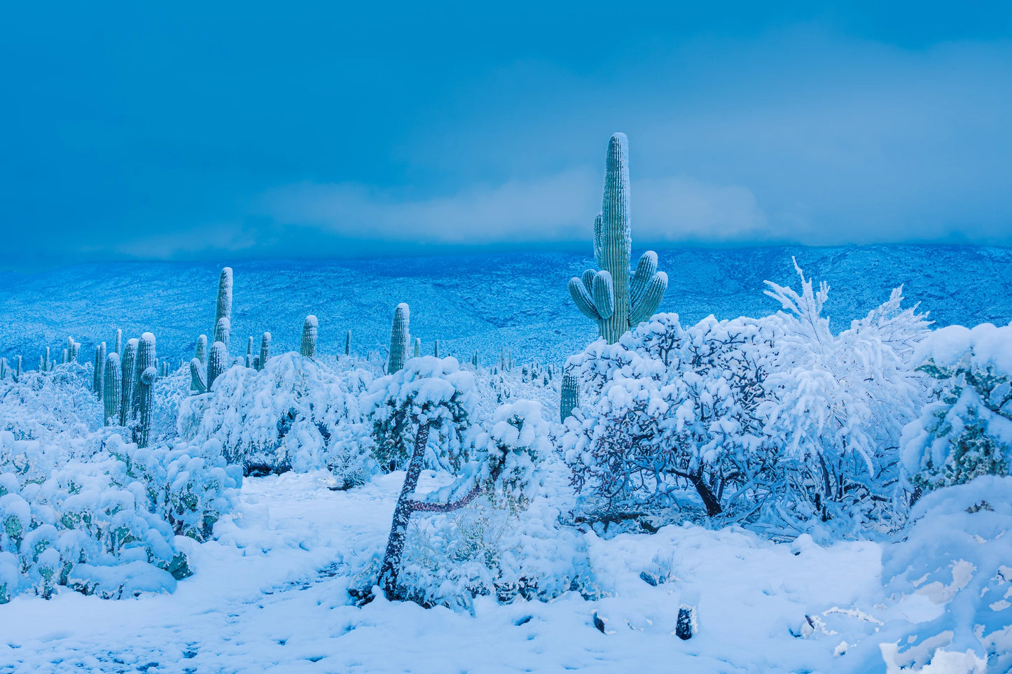 Blue Hour Power (16X24 Metal Print w/float mount $170)