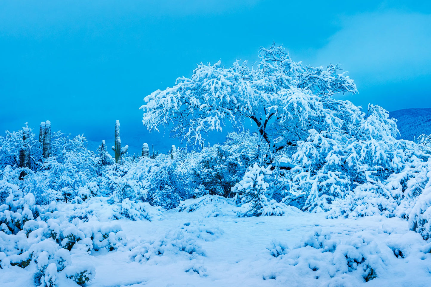 The Crystal Desert at Blue Hour 16X24 Metal Print w/float mount $170