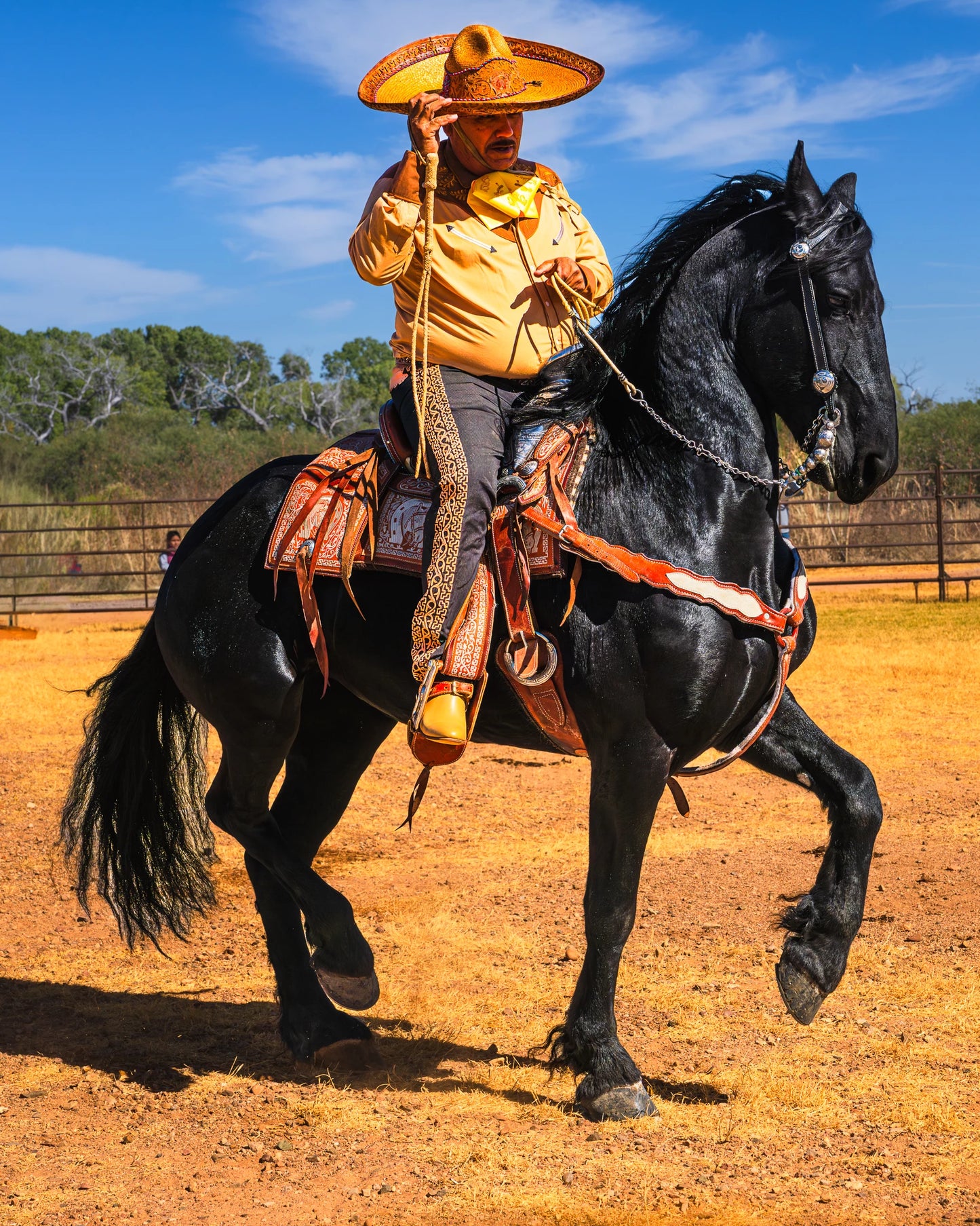 "Please allow me to introduce myself" 11X14 Metal Print w/float mount $90