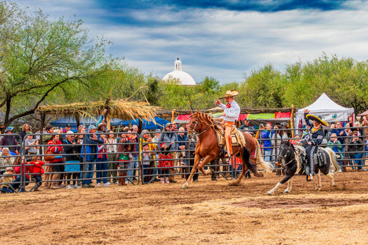 Dancing Horses at the Mission Fiesta Canvas Wrap/Painterly Style 16X24