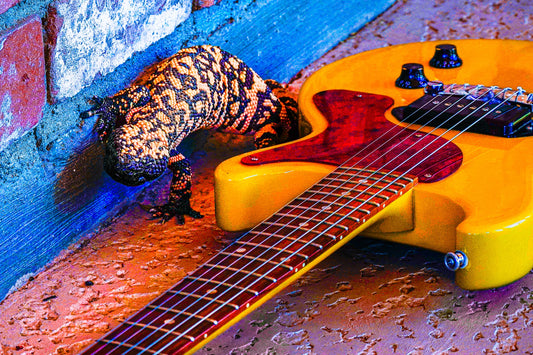 "Gilatar" 12X18 Metal Print w/float mount